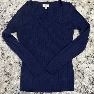LOFT Women's Deep Blue V-Neck Sweater